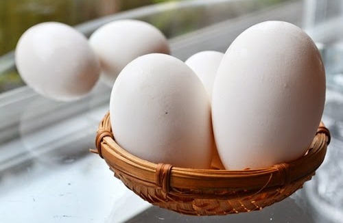 Bà bầu nên ăn trứng ngỗng vào tháng thứ mấy là tốt?