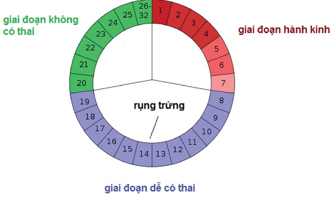 3 cách nhận biết ngày rụng trứng ở phụ nữ