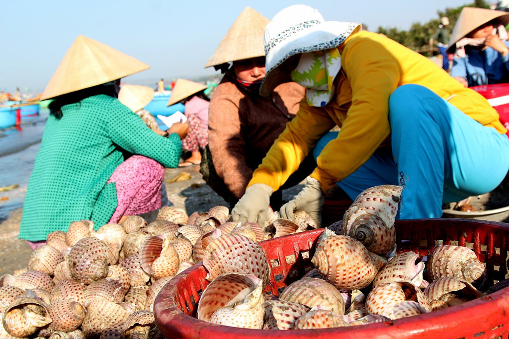 Đi Mũi Né ăn gì vừa ngon lại rẻ?